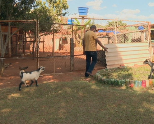 Escola no DF usa animais para ajudar na inclusão de autistas — Canal Autismo / Revista Autismo