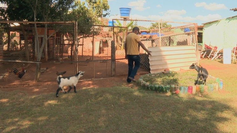 Escola no DF usa animais para ajudar na inclusão de autistas — Canal Autismo / Revista Autismo