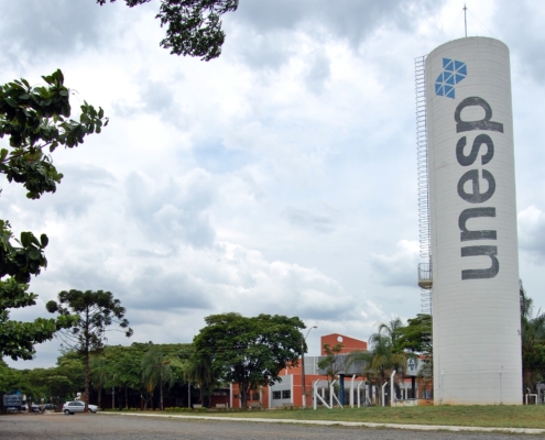 Unesp desenvolve cursos EAD com servidores de São Paulo sobre autismo — Canal Autismo / Revista Autismo