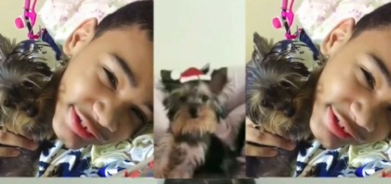Autista encontra cachorra no Acre com divulgação de vídeo nas redes — Canal Autismo / Revista Autismo