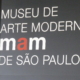 Museu de Arte Moderna de SP promove aula sobre neurodiversidade — Canal Autismo / Revista Autismo
