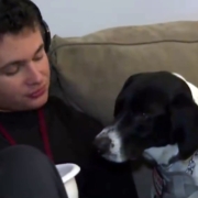 Antes abandonado, cão vira-lata é adotado por jovem autista — Canal Autismo / Revista Autismo