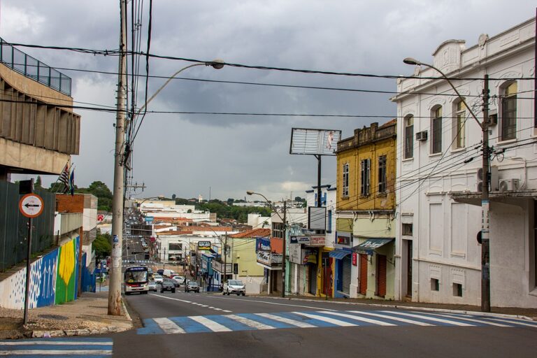 São Carlos, em São Paulo, terá caminhada no Dia Mundial do Autismo no dia 1º de abril — Canal Autismo / Revista Autismo