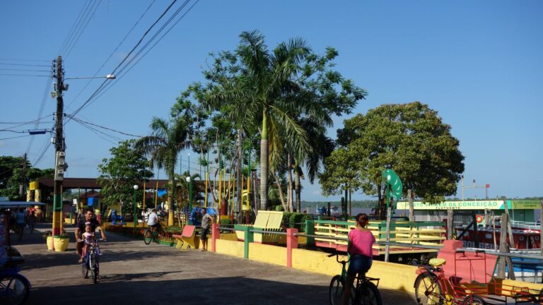 Ilha de Marajó é alvo de coleta de dados populacionais sobre autismo — Canal Autismo / Revista Autismo