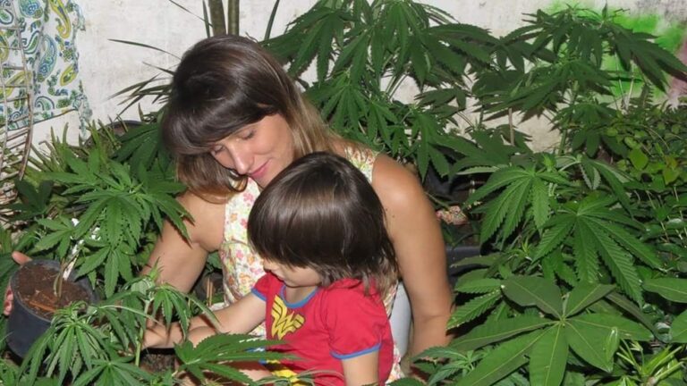 Mãe que planta cannabis para filha autista consegue Habeas Corpus definitivo — Canal Autismo / Revista Autismo