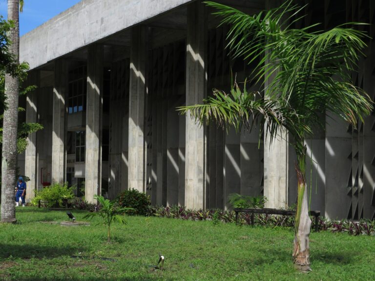 Coletivo autista da UFPB busca voluntários para atender autistas — Canal Autismo / Revista Autismo