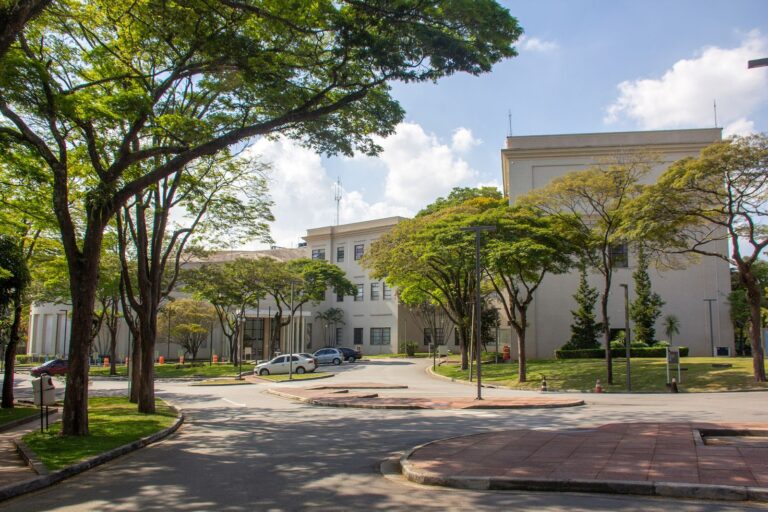 São Paulo sanciona duas leis estaduais voltadas ao público autista — Canal Autismo / Revista Autismo
